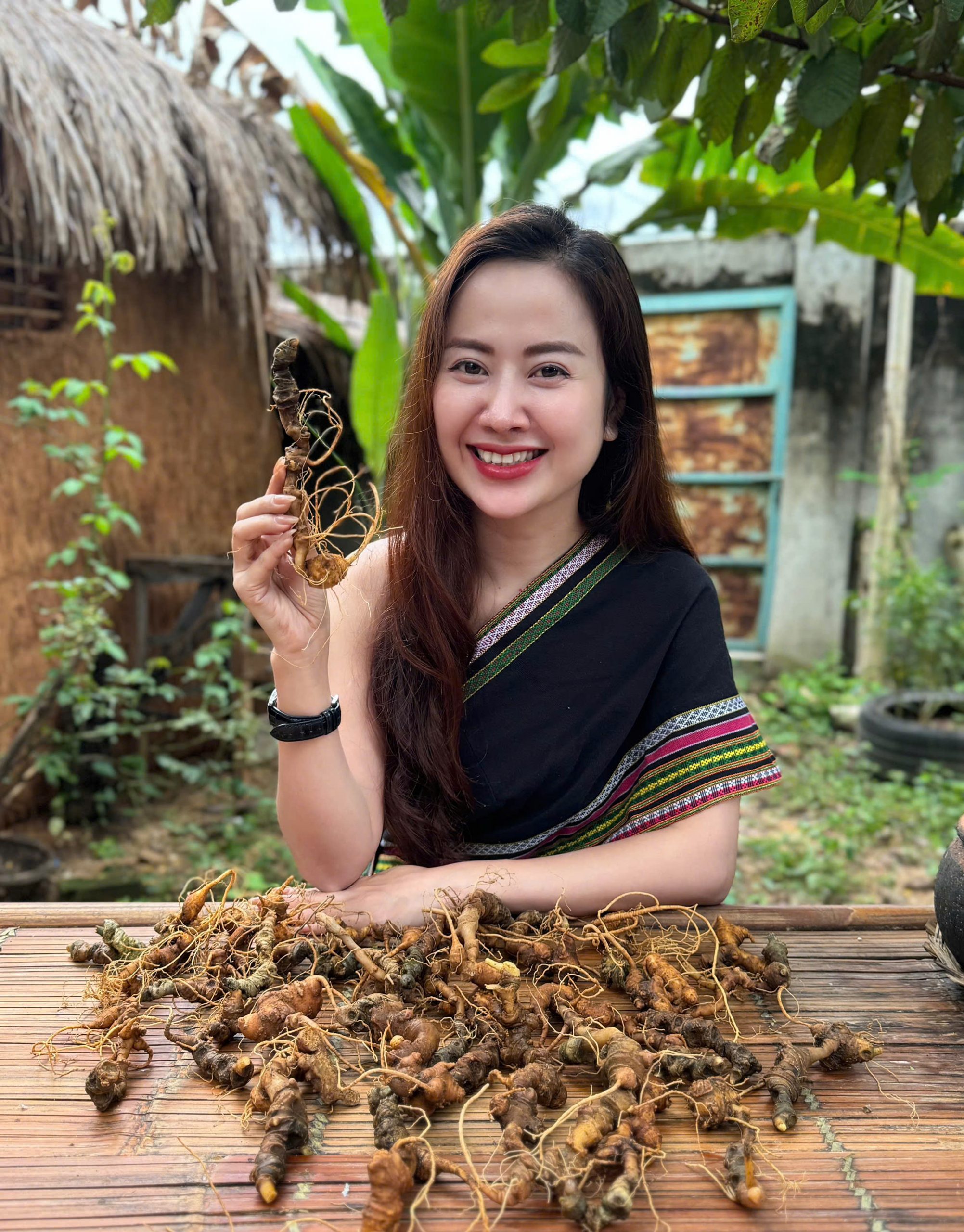 sam-ngoc-linh-1 sam-ngoc-linh-1